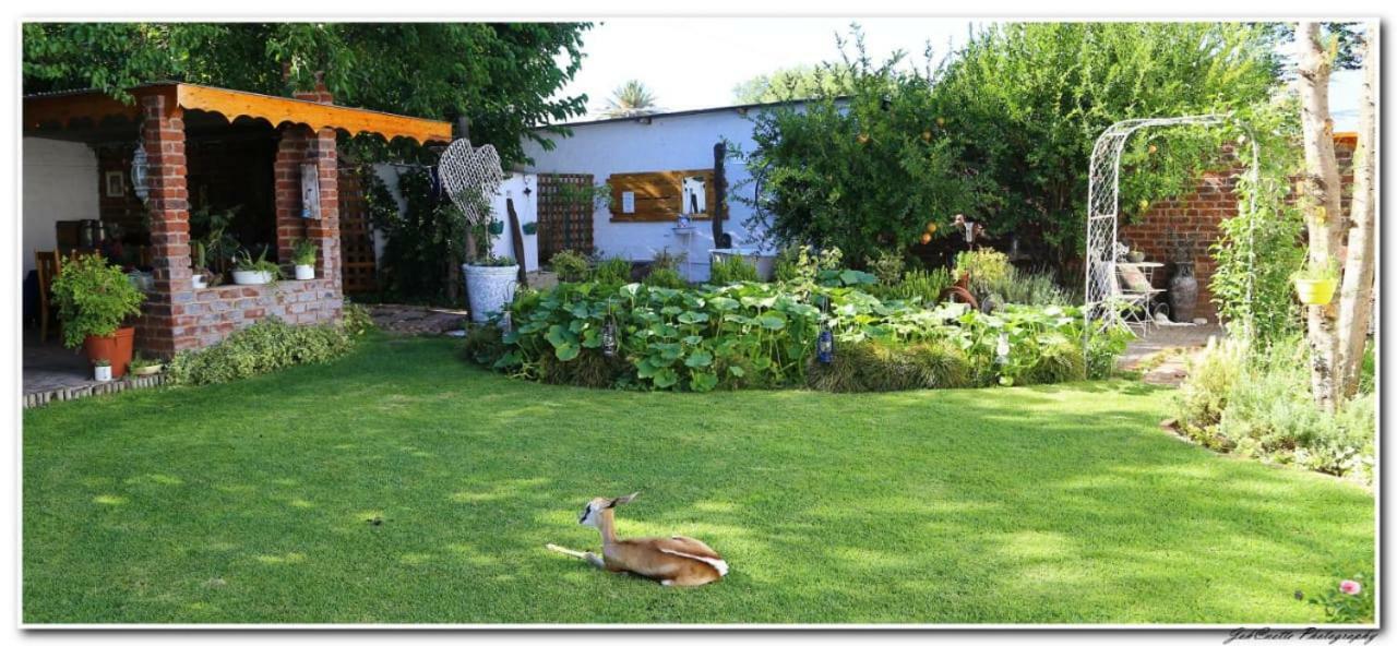 Tortelduif Cottage Offthegrid Middelburg  Dış mekan fotoğraf