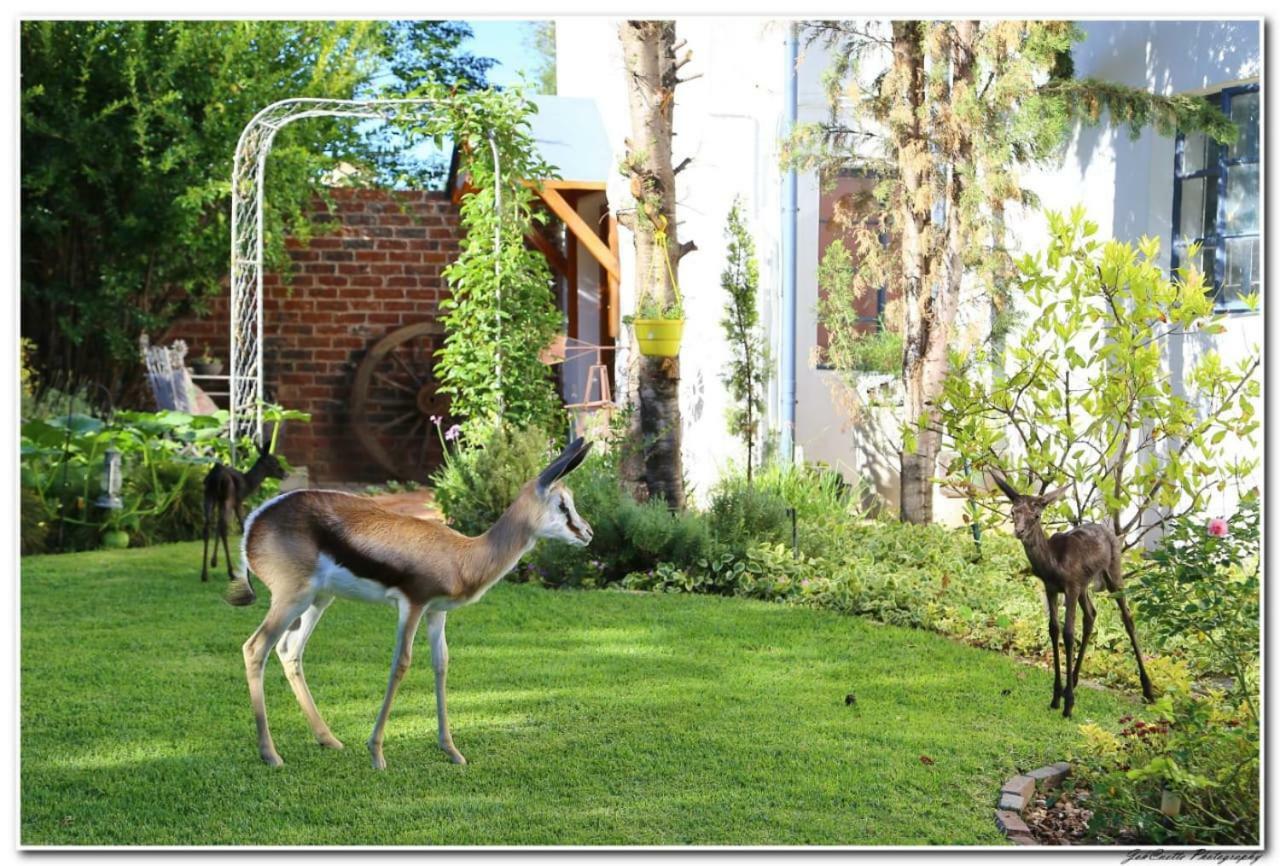 Tortelduif Cottage Offthegrid Middelburg  Dış mekan fotoğraf