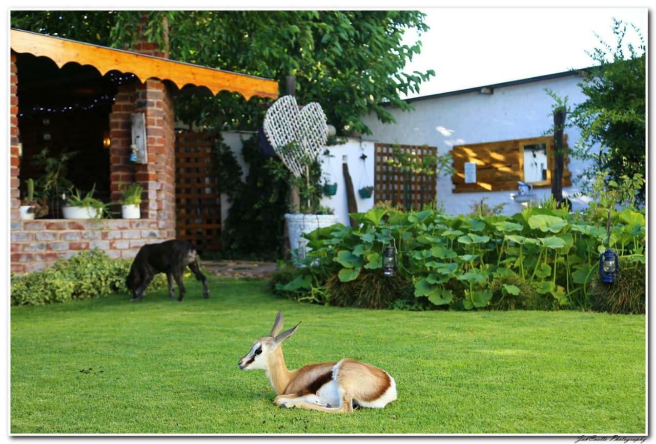 Tortelduif Cottage Offthegrid Middelburg  Dış mekan fotoğraf